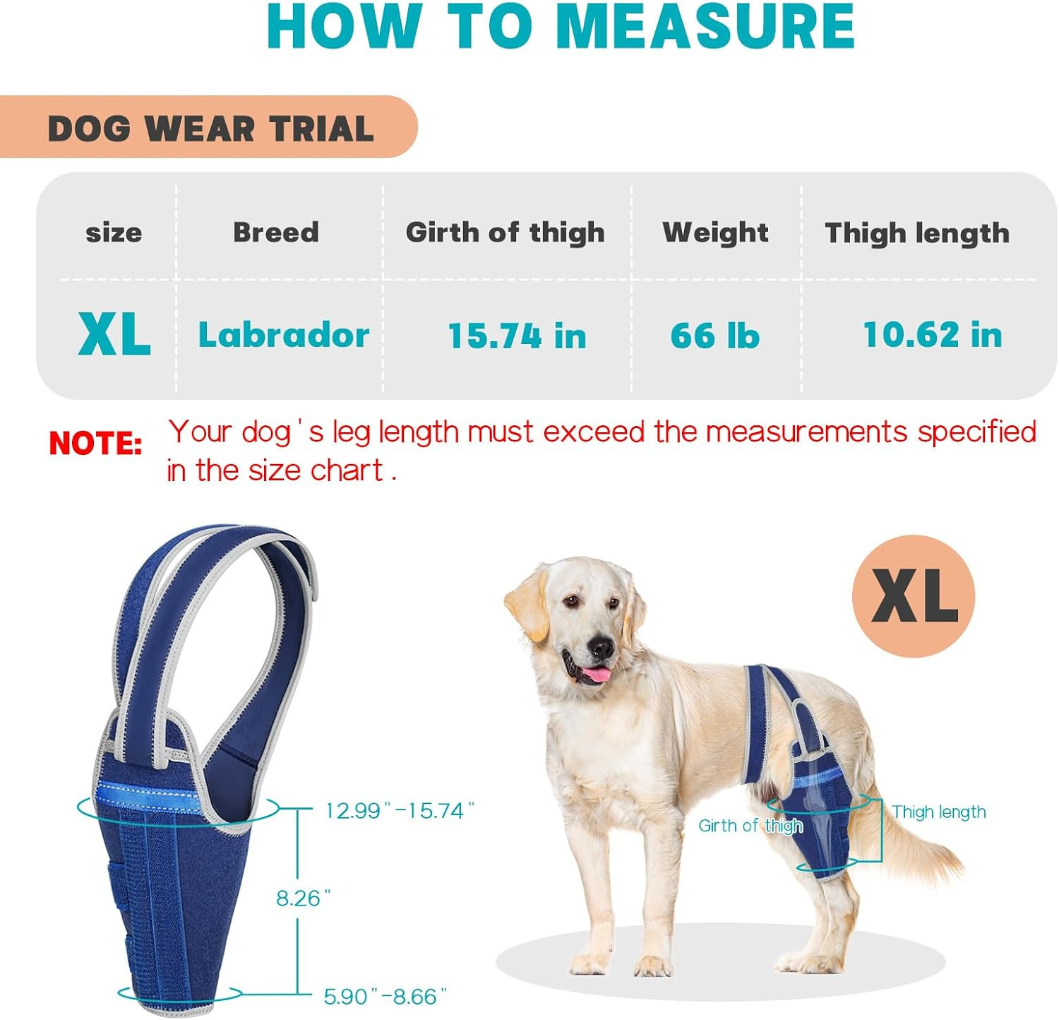 Dog Knee Brace for Torn ACL Hind Leg – Support Dog Leg Brace for Back Leg with 2