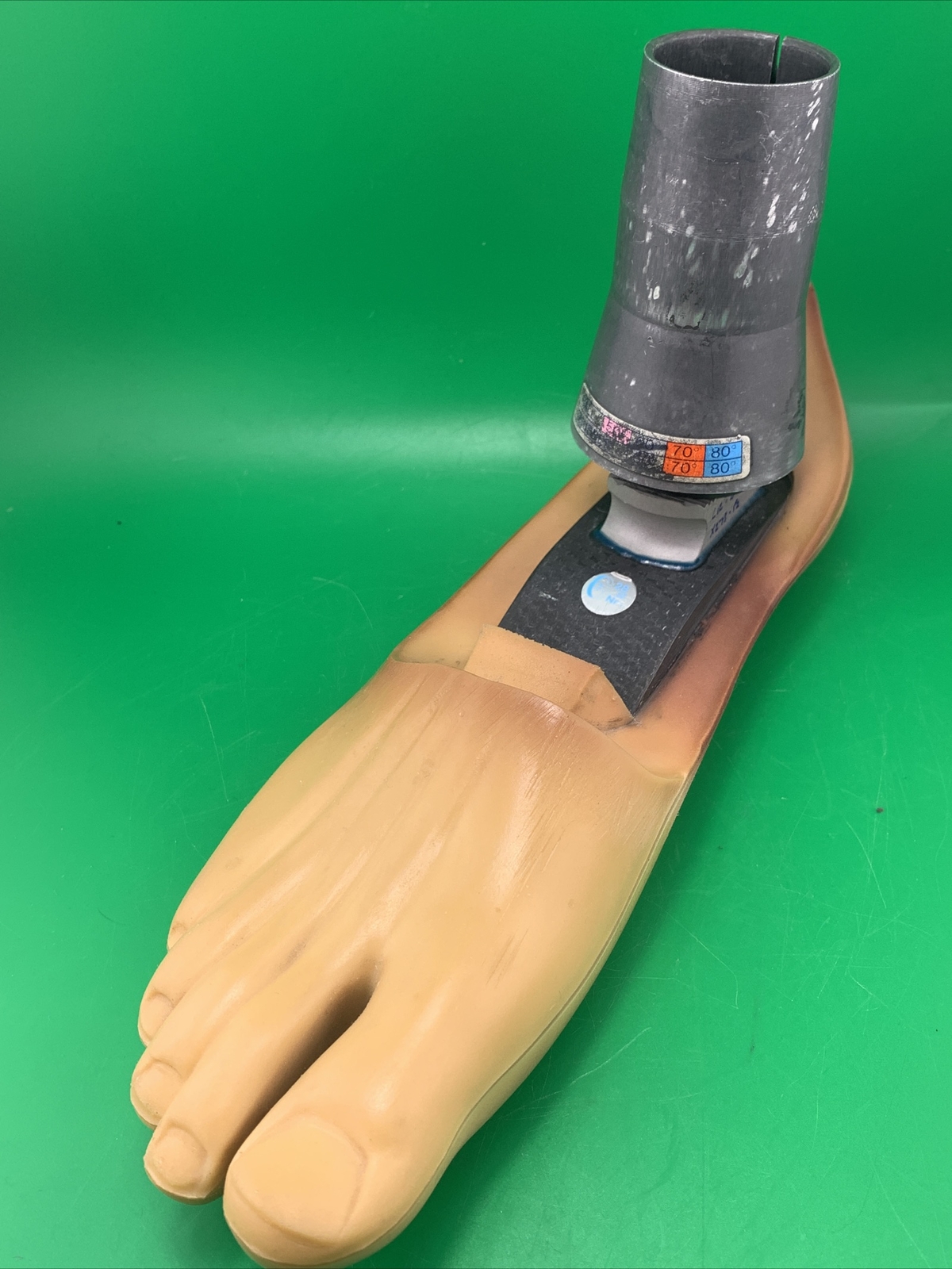 endolite blatchford multiflex prosthetic foot and Ankle. Right Foot, size 27