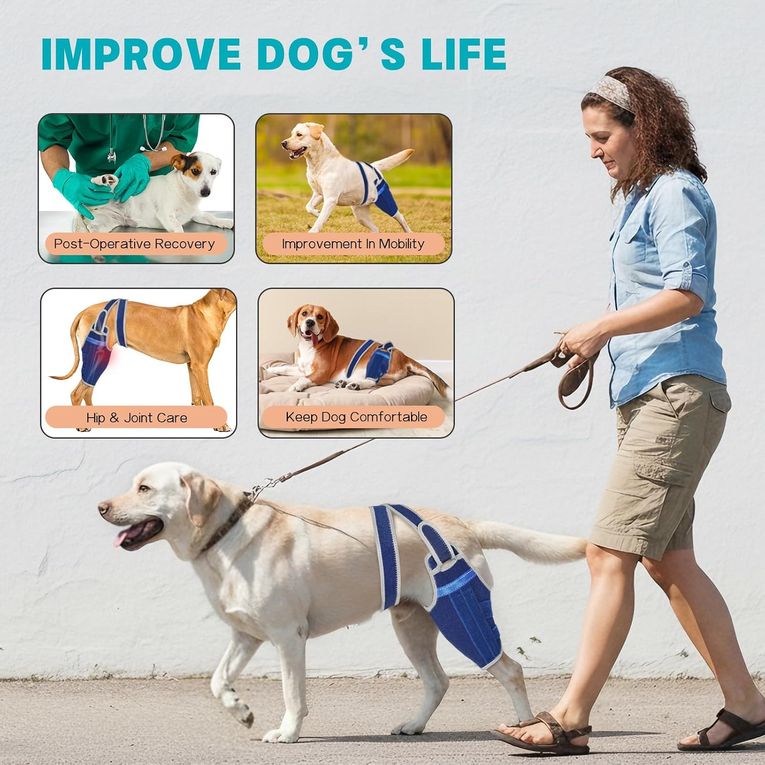 Dog Knee Brace for Torn ACL Hind Leg – Support Dog Leg Brace for Back Leg with 2