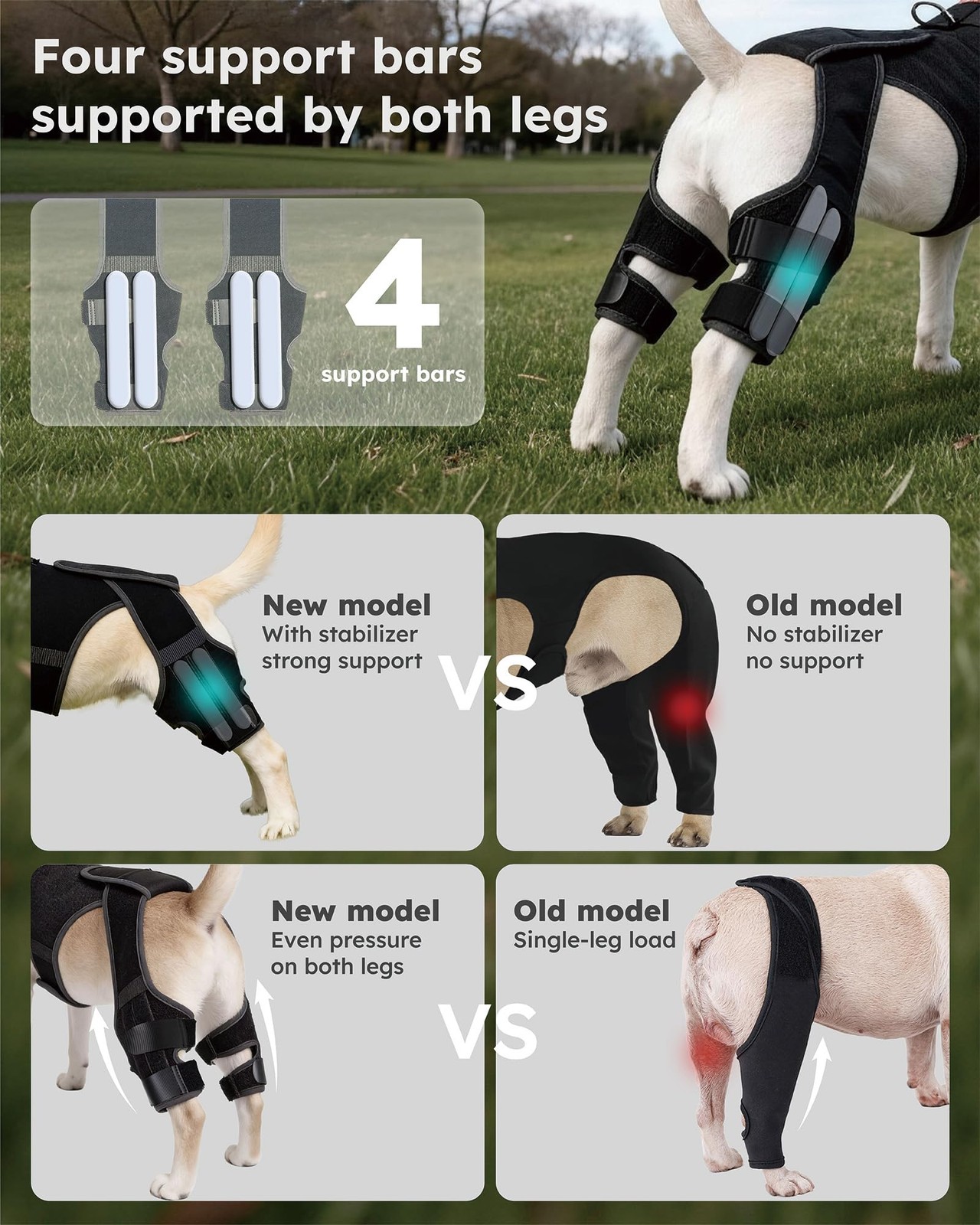 seangonna Dog Knee Brace M