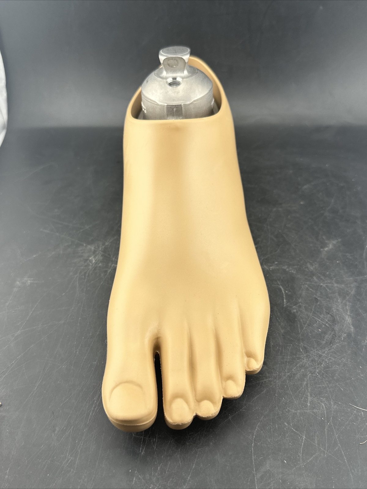 OTTOBOCK Otto Bock Greissinger Prosthetic Foot. Left Size 24 1A30 Perfect