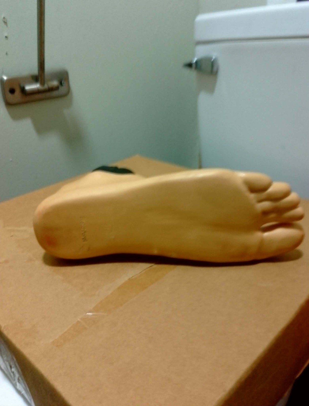 blatchford elane ic microprocessor hydraulic ankle foot size 27 with chargers