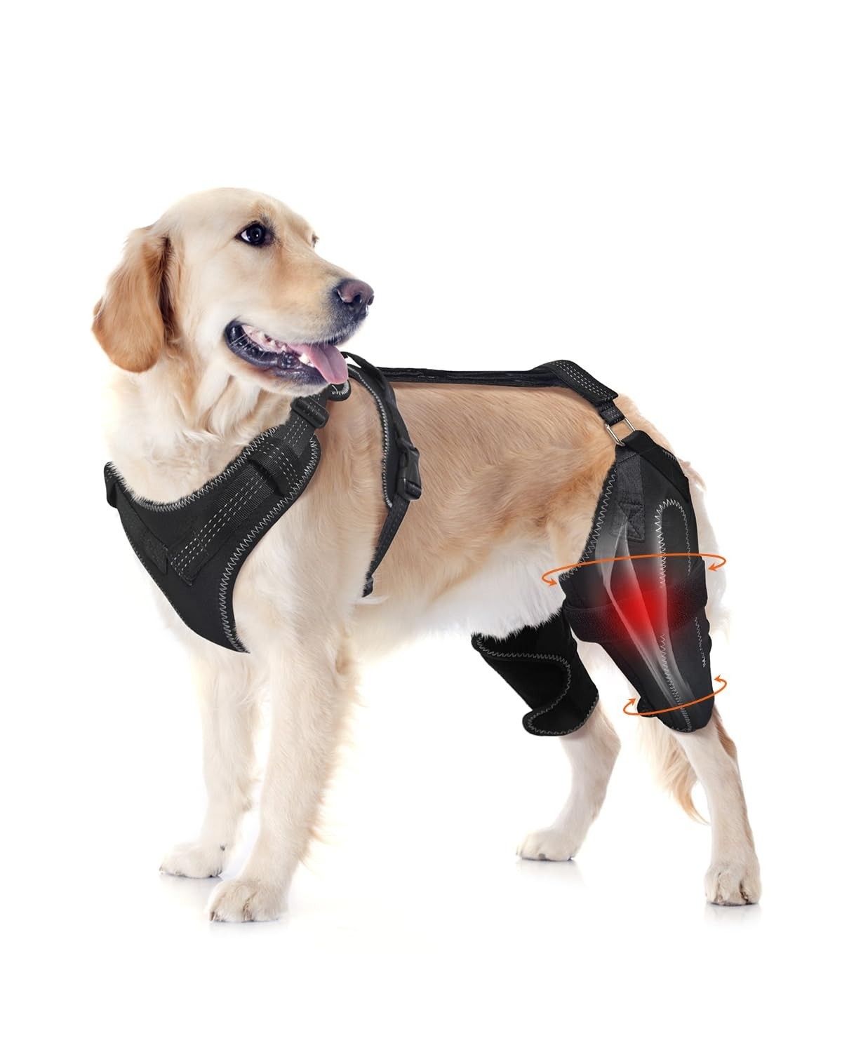 “L” LISPOO Dog Knee Brace – Rear Leg Support for Luxating Patella,
