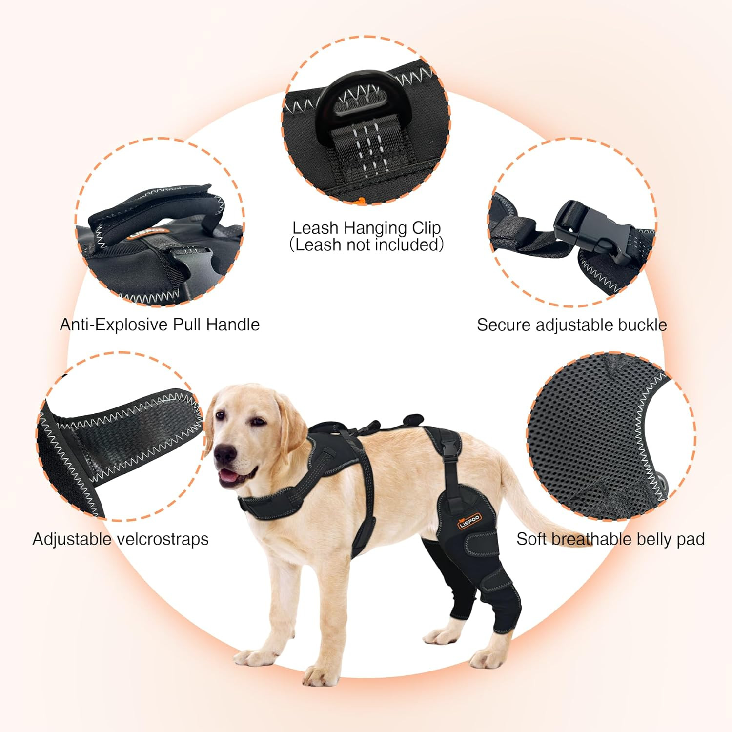 Dog ACL Knee Brace for Arthritis & Patellar Luxation – Hind Leg Support
