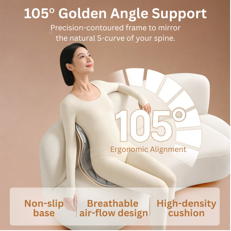 Gray Ergonomic Lumbar Support | Back Support with 6-Region Pressure Reliever