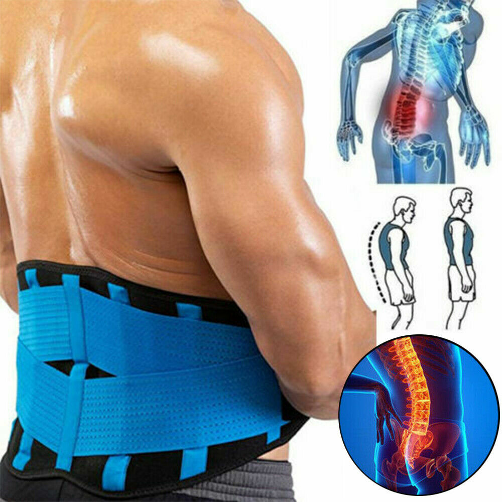 Lower Back Pain Brace Lumbar Support Waist Belt Scoliosis Work Gym For Men Women