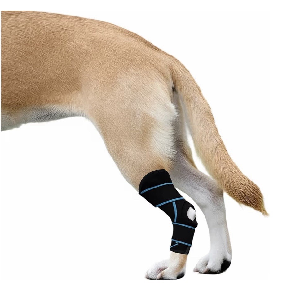 Dog Knee Brace Medium ACL Support Pet Leg Wrap Recovery Arthritis M