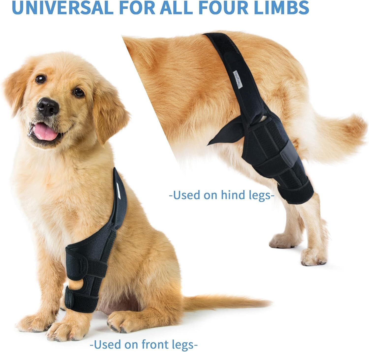 Dog Knee Brace for Torn ACL Hind Leg – Black, Large