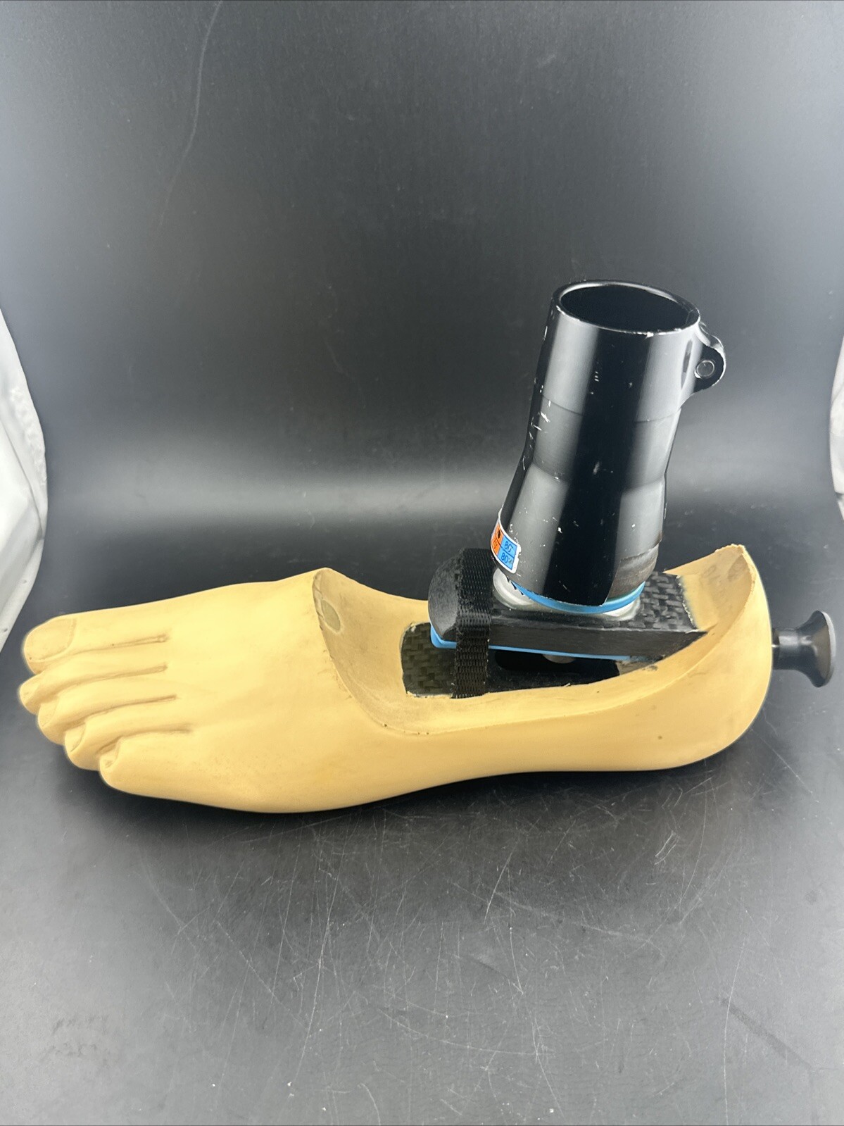 Endolite Blatchford Multiflex Multi-flex Prosthetic Foot Left Foot Size 26 DR-2