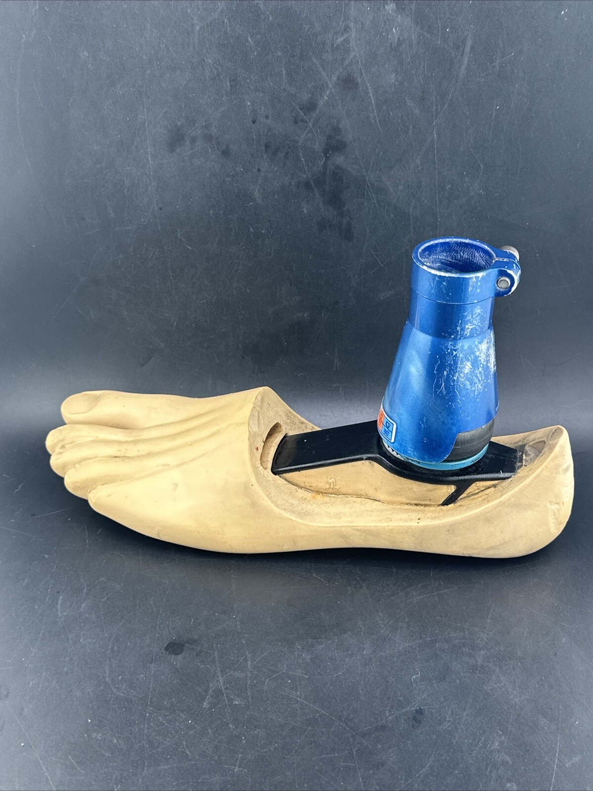 Blatchford Endolite Multiflex Multi Flex Prosthetic Foot. Left Size 26 Good Cond
