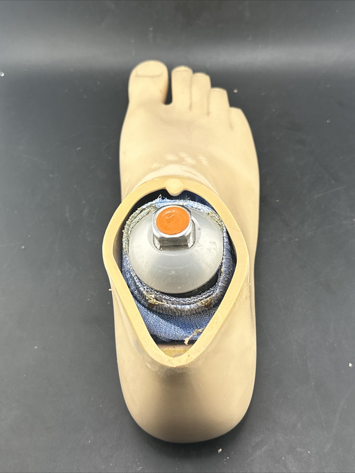 Blatchford Endolite Navigator Prosthetic Foot. Right. Size 27.