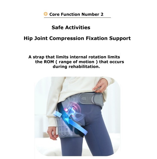 Disk Doctor Hip Joint Pelvis WC605H Hip Joint Pelvis Fixed Support