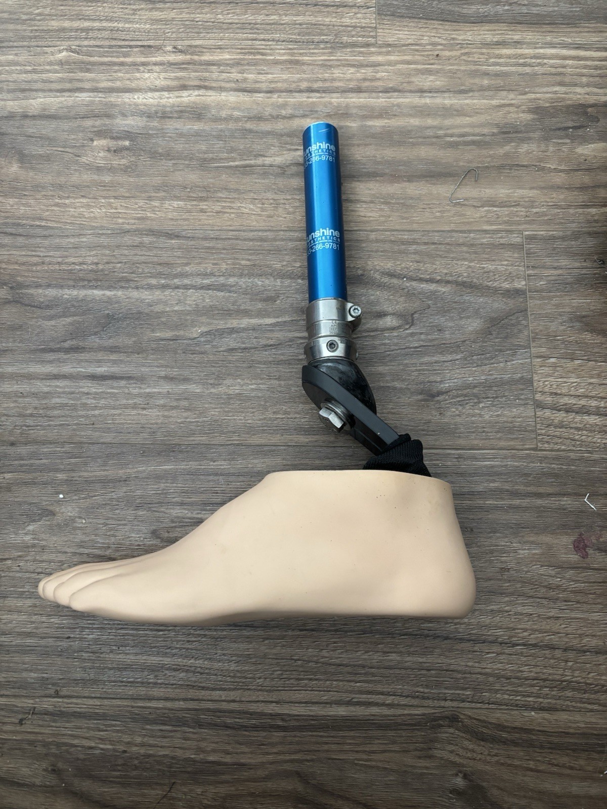 Prosthetic Leg And Foot