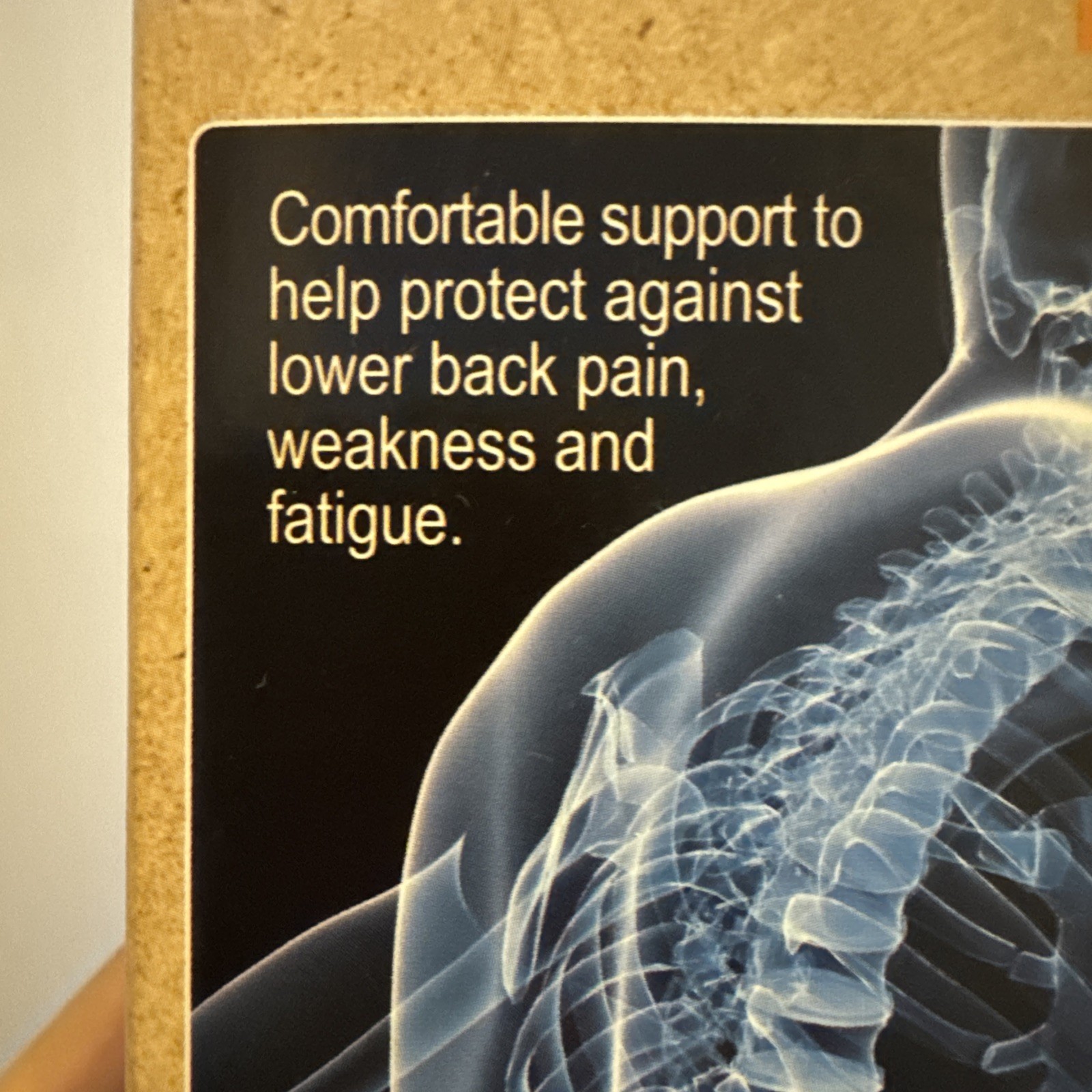 Mueller Green Back & Abdominal Support One-Size Adjustable Antimicrobial