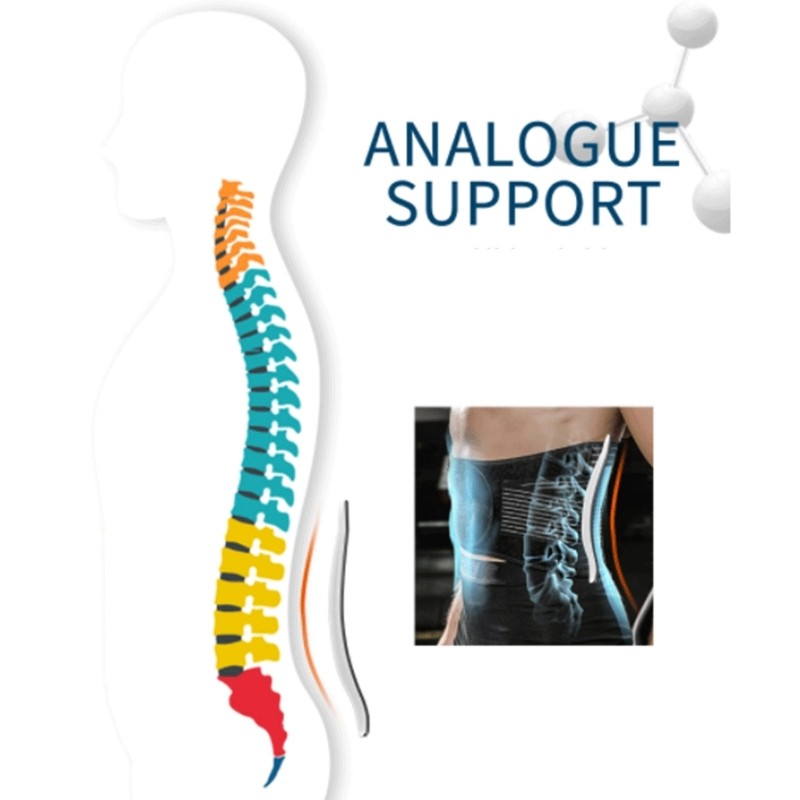 Adjustable Lumbar Back Brace Breathable Waist Support Belt Back Support Belt