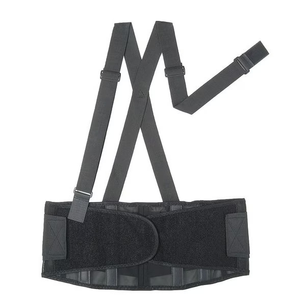 Condor Back Support w/Stay,Black,Polyester,L 3RUZ7 Condor 3RUZ7 L 190735091265