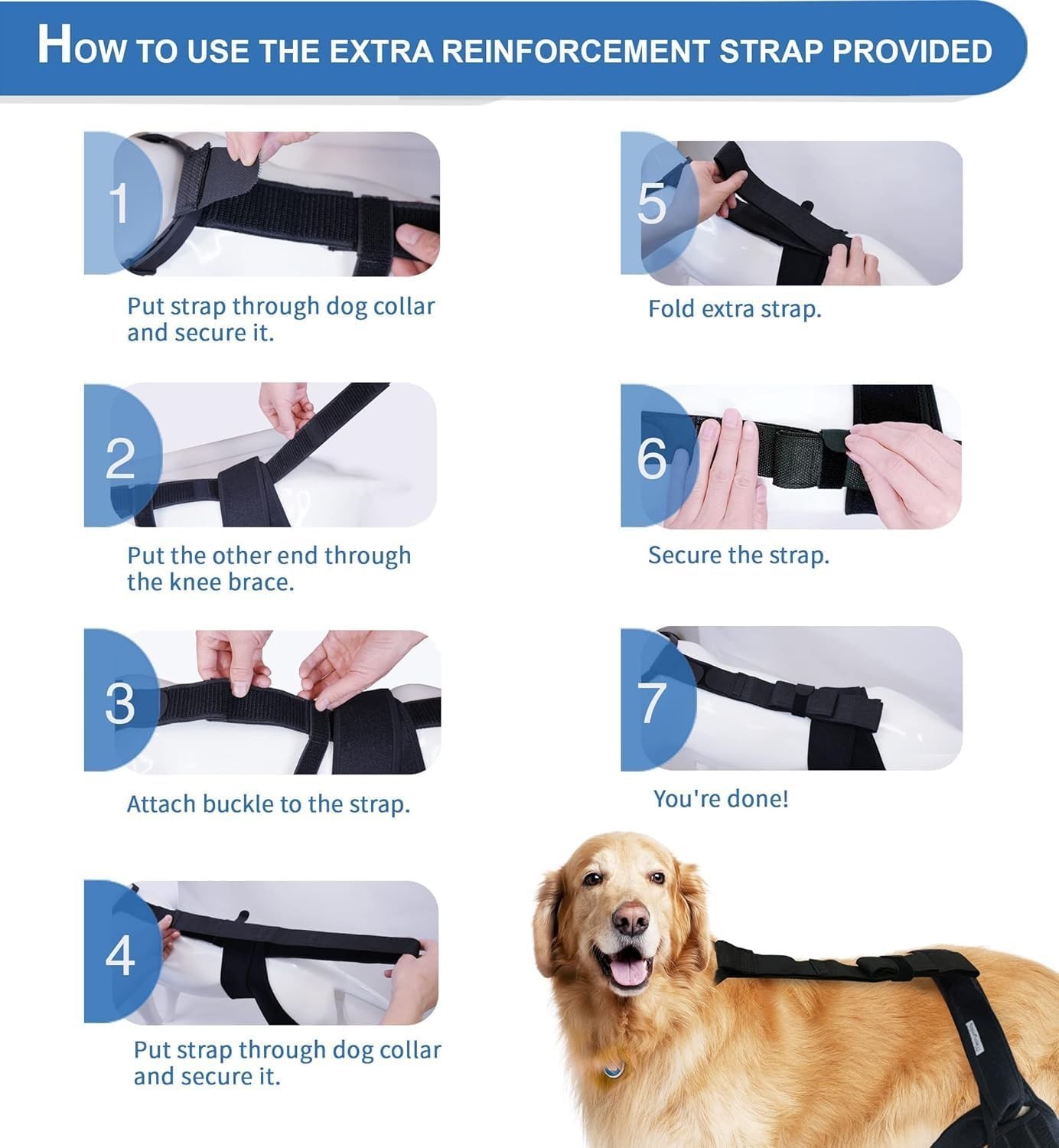 Dog Knee Brace for Torn ACL Hind Leg – Black, Large