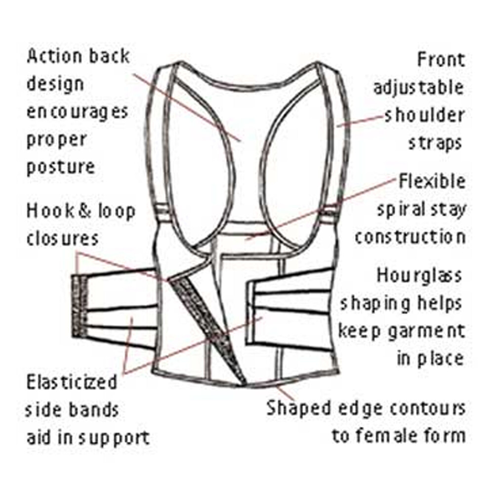 FLA Original Cincher Back Support Provides Spinal Abdomen Alignment/Compression