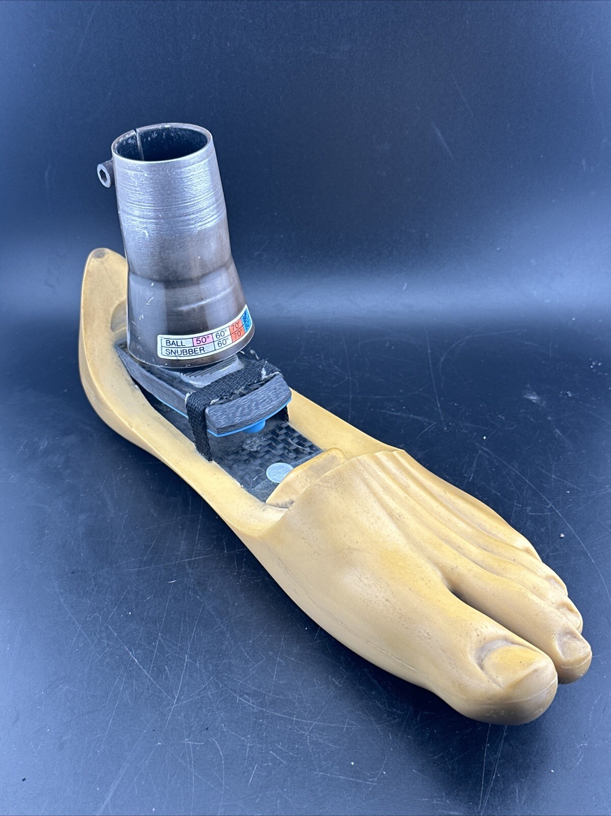 Endolite Blatchford Multiflex Multi Flex Size 29 DR-2 Prosthetic Foot