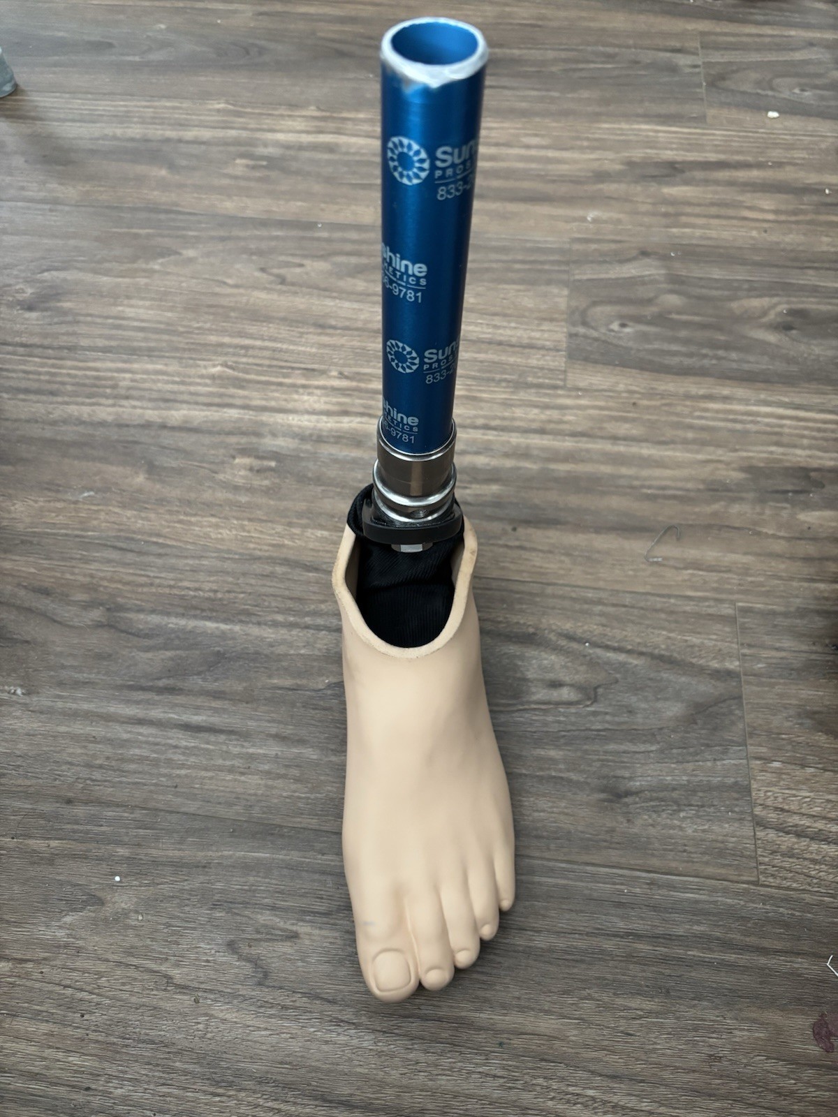 Prosthetic Leg And Foot