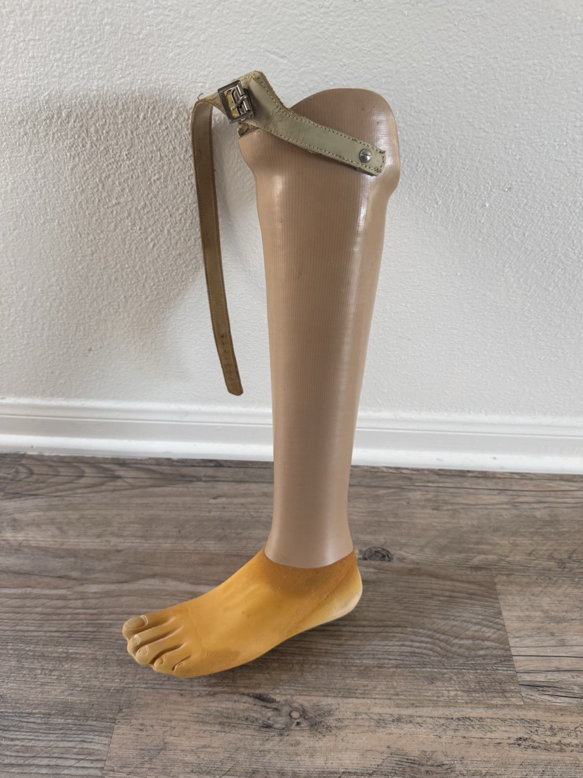 Vintage Prosthetic Leg Kingsley Left Leg Oddity Medical Display Halloween Prop