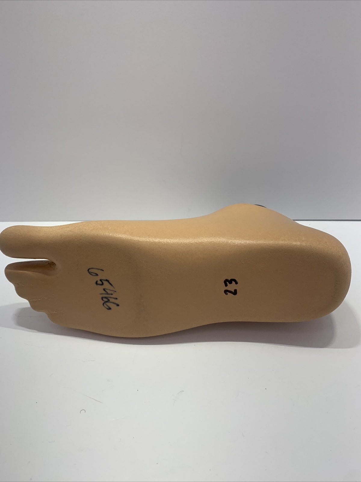 endolite blatchford avalon prosthetic foot. hydraulic ankle foot.