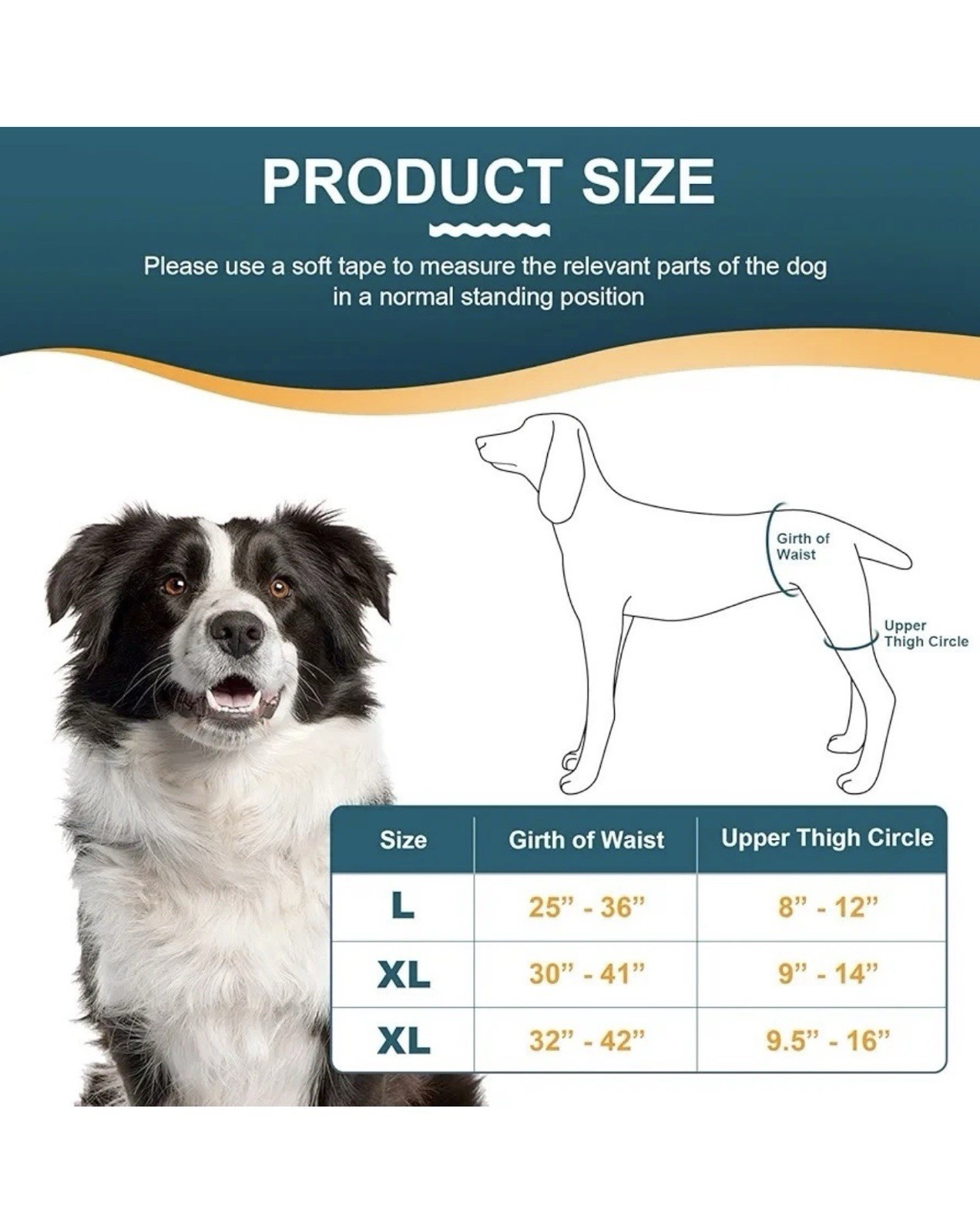 Dog Hip Brace with Hot/Cold Compress for Hip Dysplasia, Arthritis Male Large