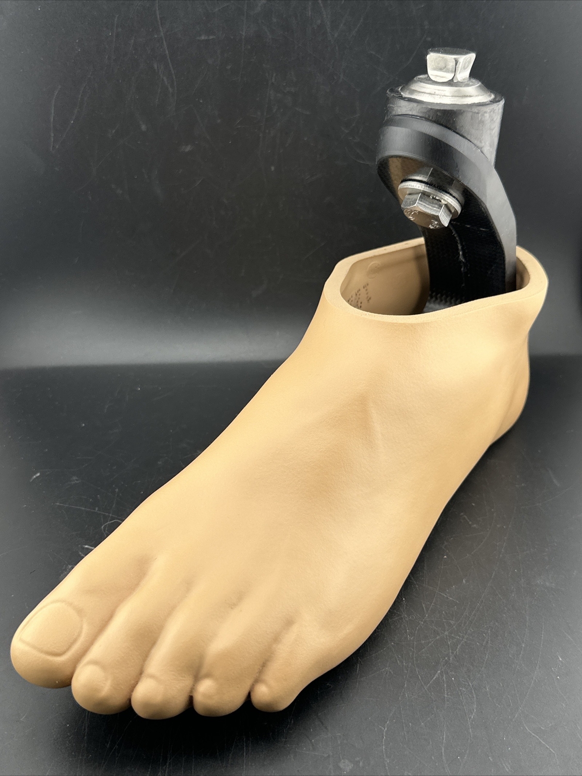 freedom sierra prosthetic foot. size 31. category 7. Left Prosthetic Foot