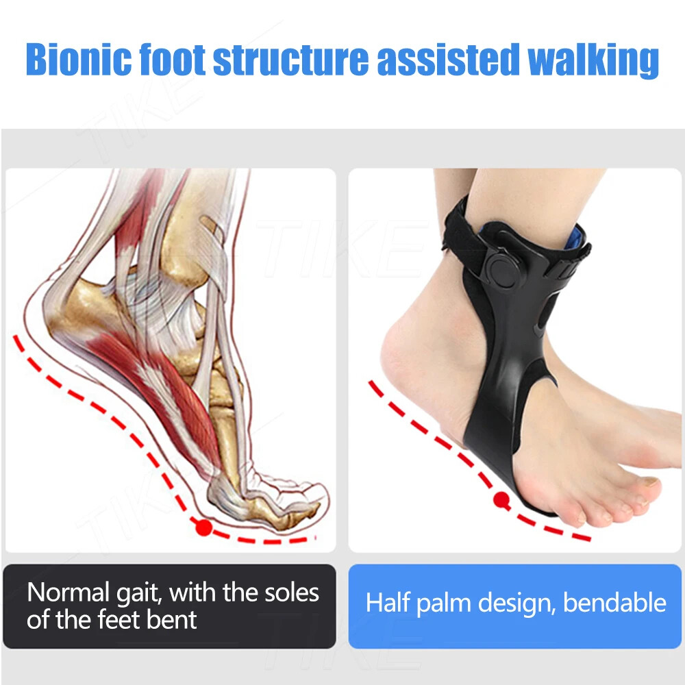Adjustable Foot Droop Splint Brace Orthosis Ankle Varus & Valgus Fixed Strips US