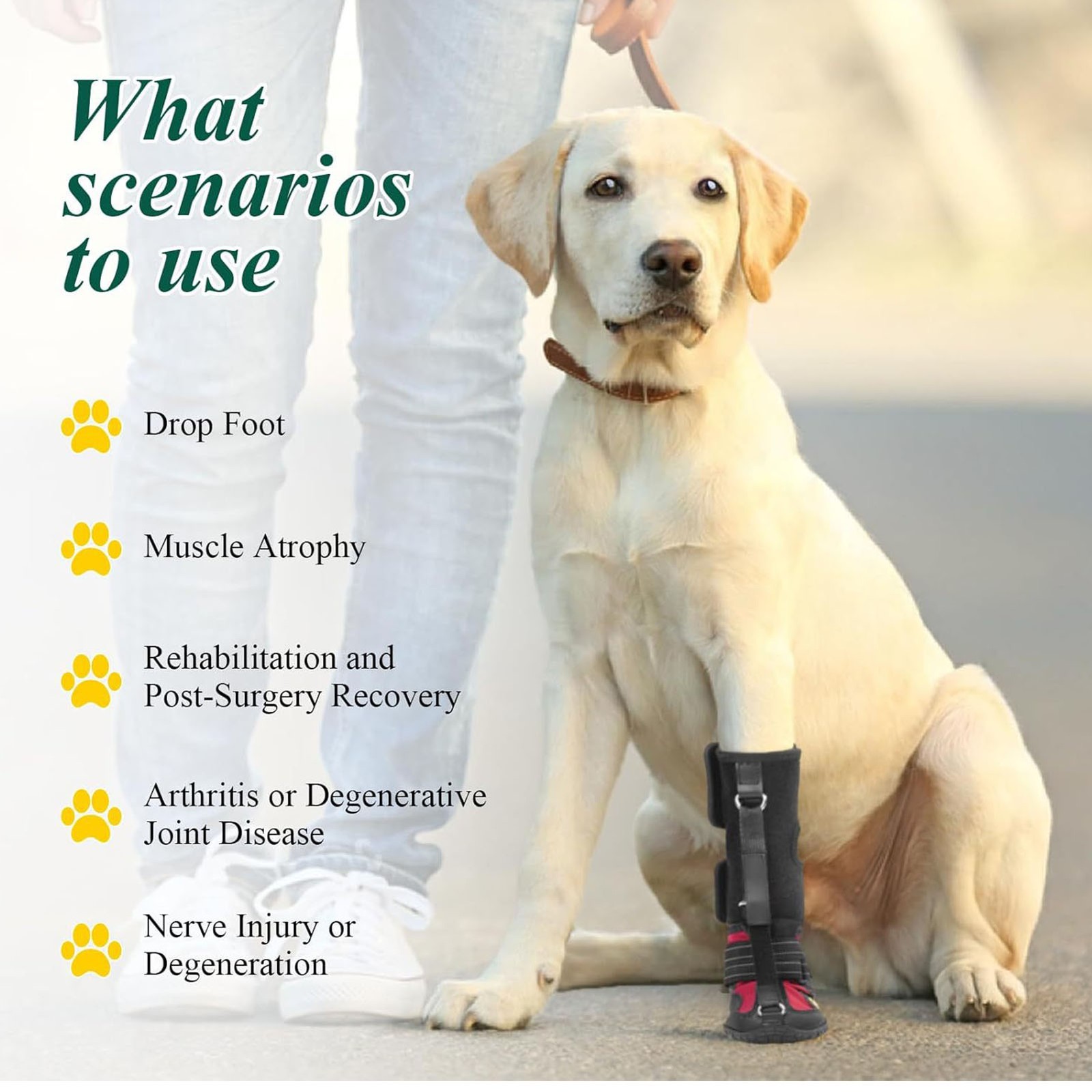 Dog Foot Brace Breathable Non Slip Sole For Outdoor Adventures Easy To Use BT0