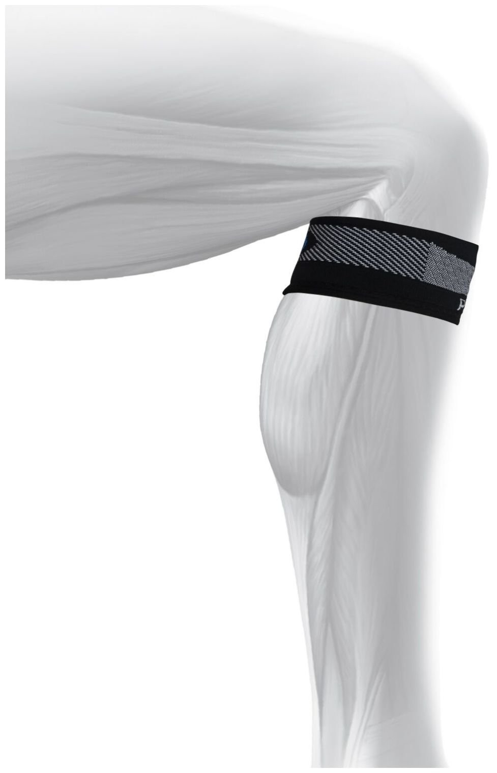 Performance Patella Sleeve Supports Relieves Tendonitis Stabilizes PS3