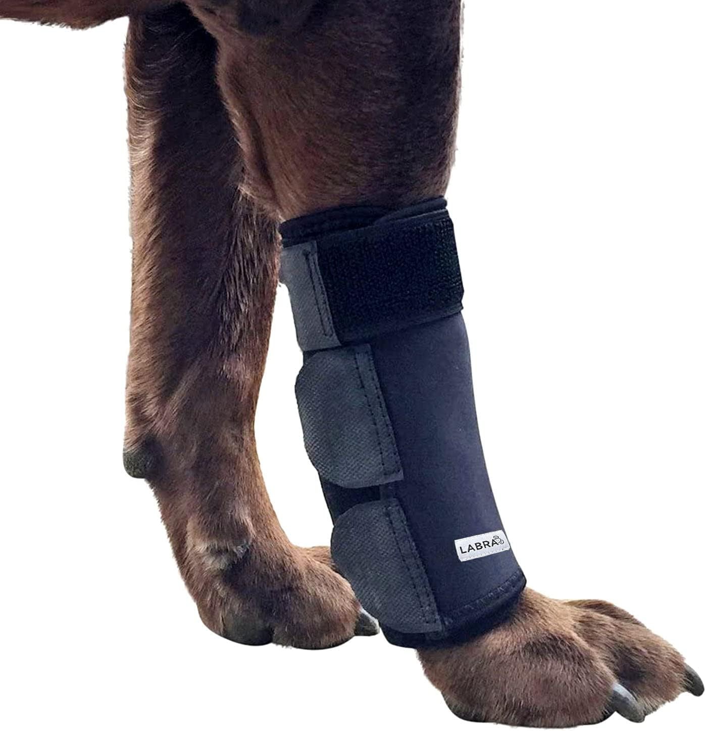 Labra Dog Front Leg Brace, Dog Wrist Brace with Adjustable Straps
