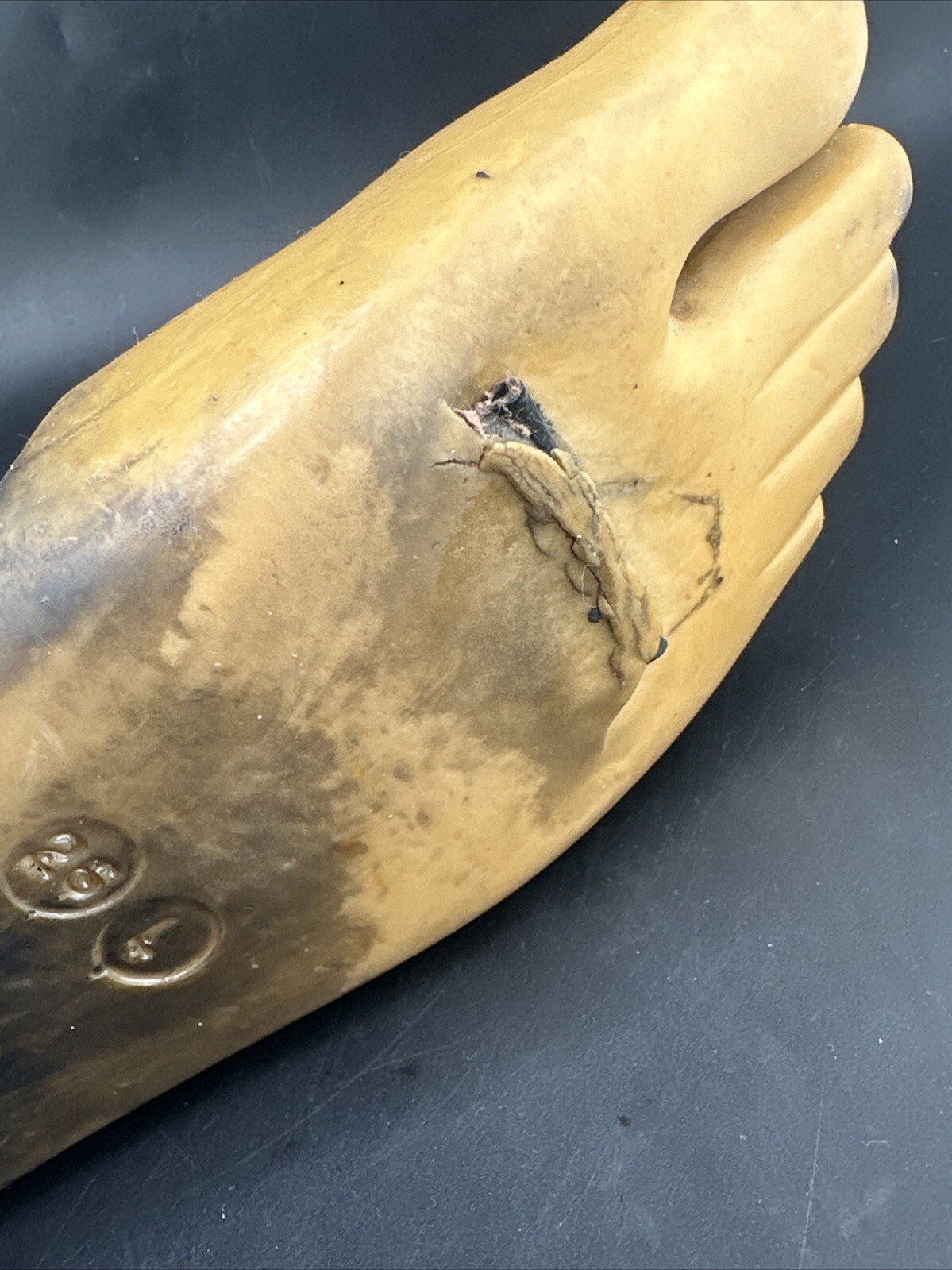 Blatchford Endolite Multiflex Multi Flex Prosthetic Foot. Left Size 26 Bad Cond