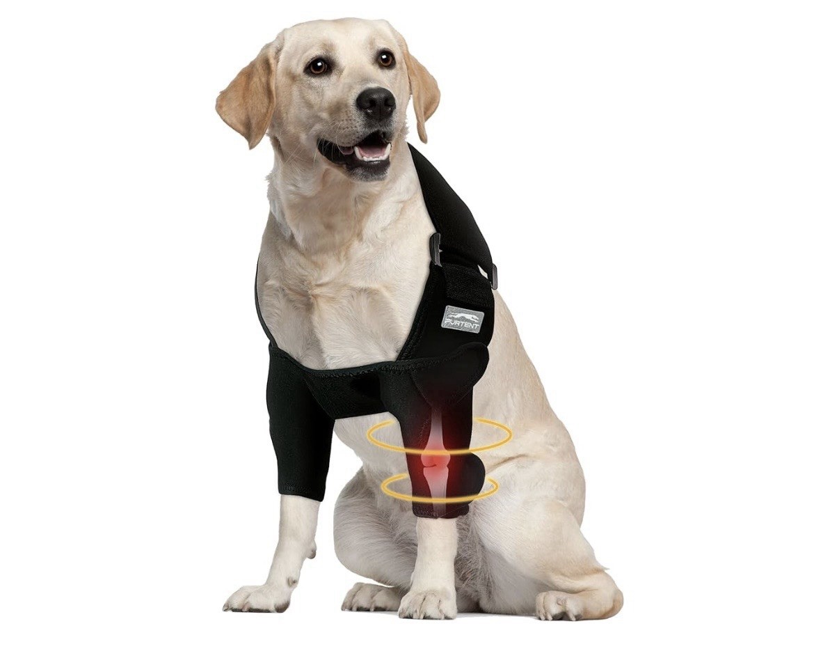 Dog Elbow Brace for Pets Elbow Dysplasia Shoulder Dislocation XL