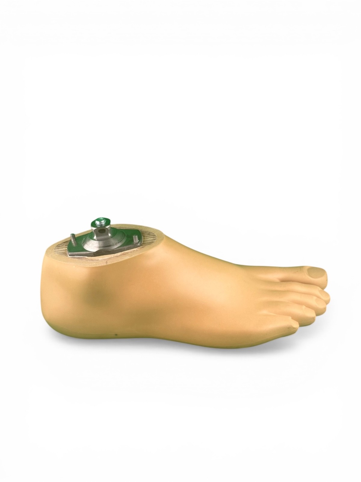 otto bock 3WR95 1WR95 4WR95=3 2WR95=1 aqua prosthetic. Knee, right foot sz 27