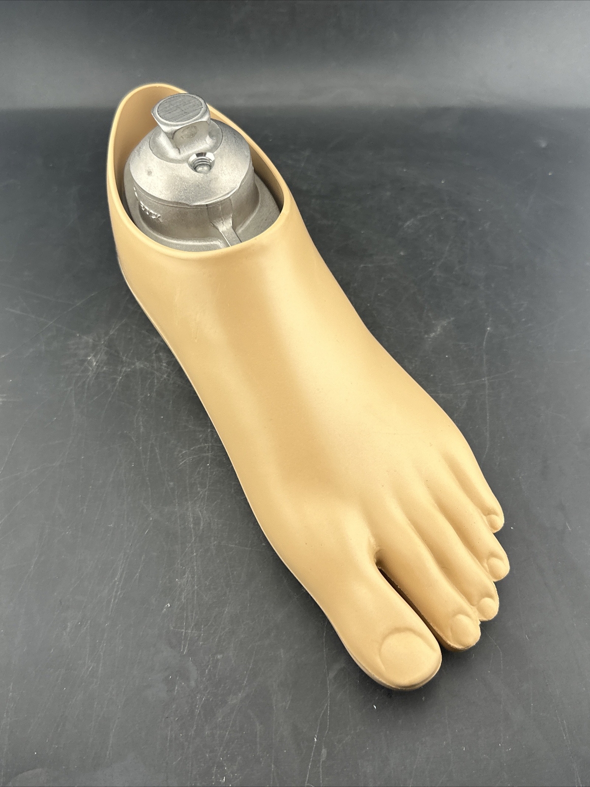 OTTOBOCK Otto Bock Greissinger Prosthetic Foot. Left Size 24 1A30 Perfect
