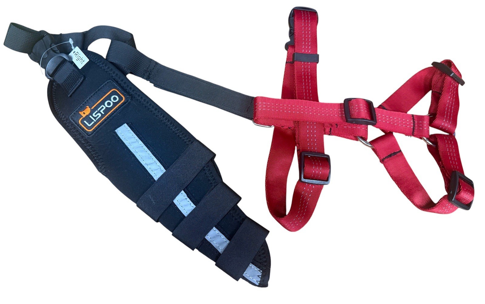 Lispoo Right Rear Leg Brace XS, Torn ACL