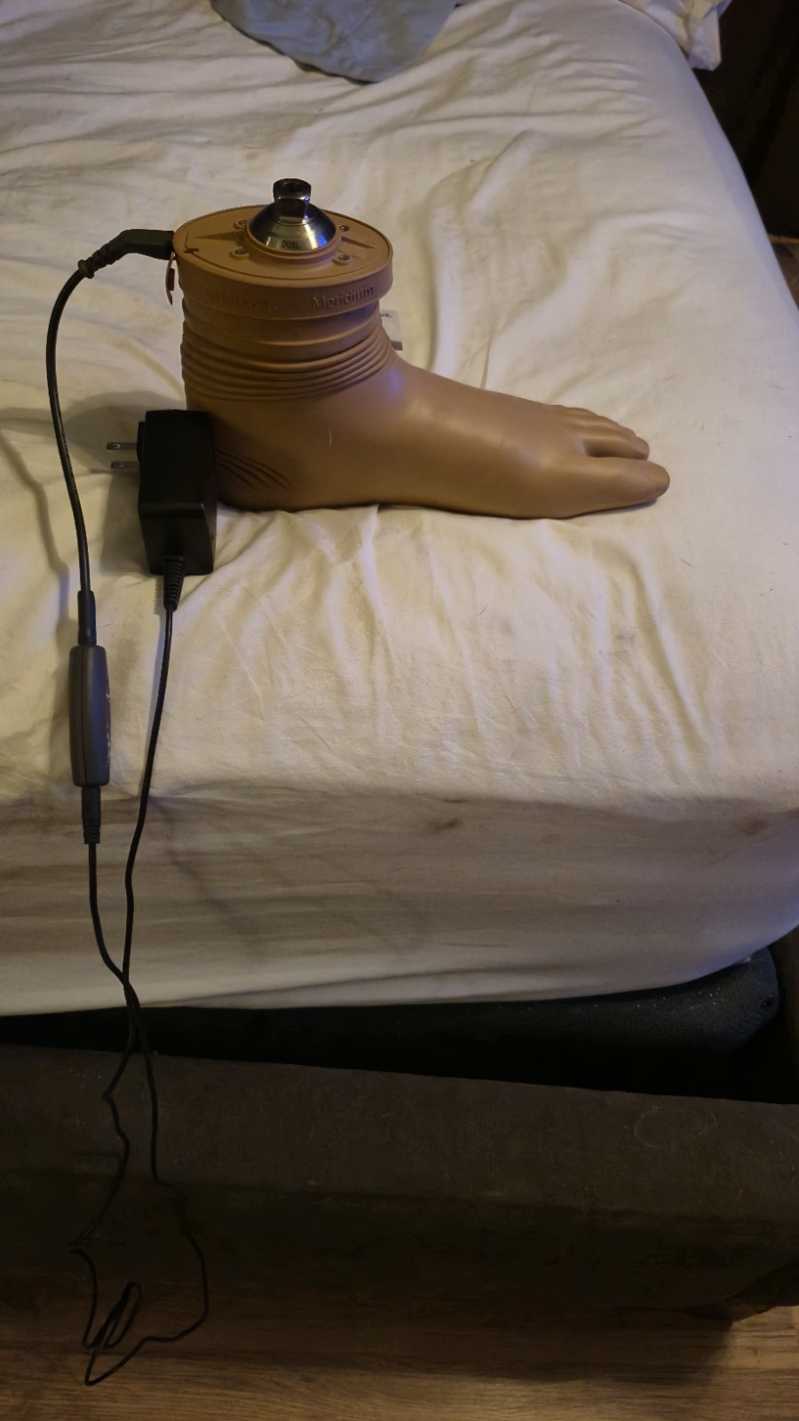 2021 OttoBock C-Leg knee + 2021 Meridian foot