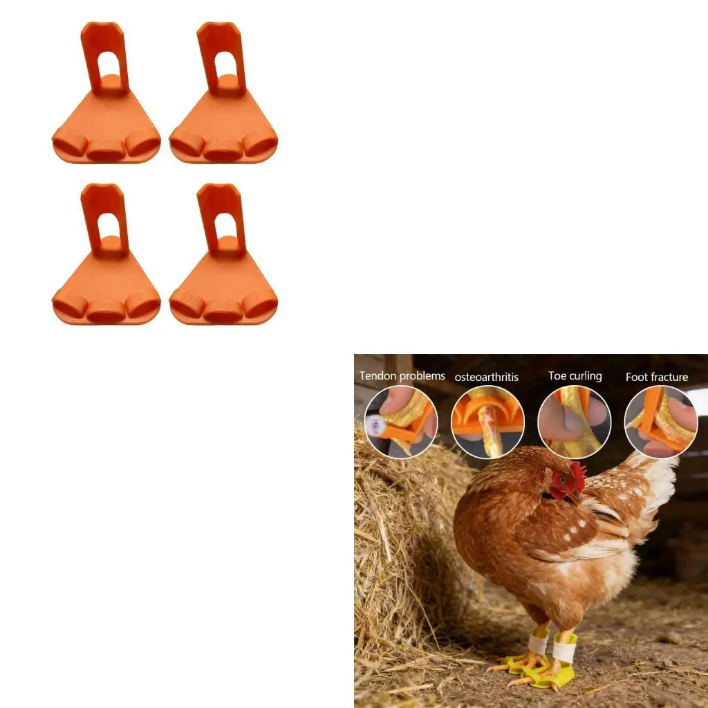 Pack of 4 Chicken Leg Splints with Adjustable Straps for Correcting Foot Deformi