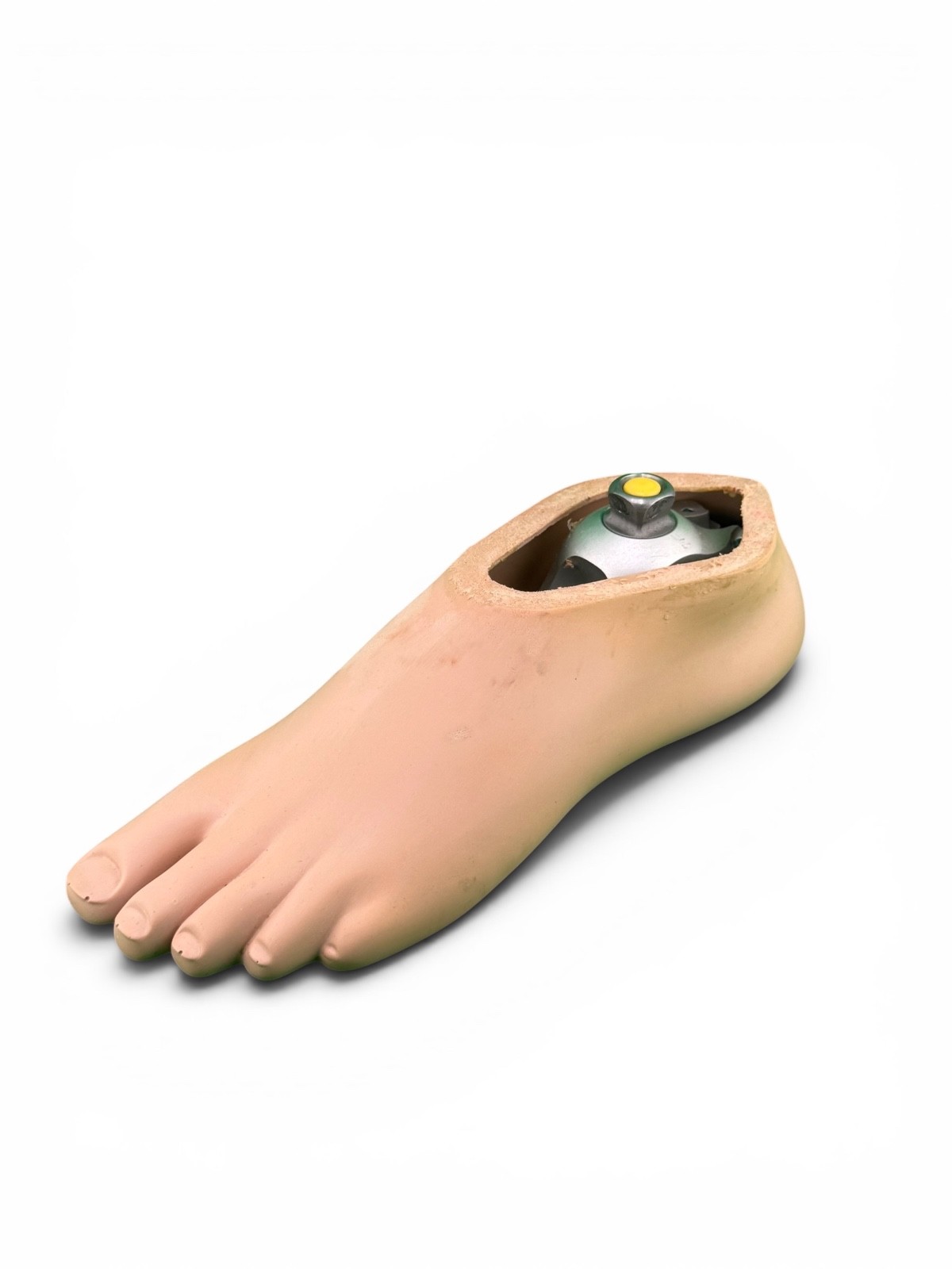 College Park Tres Prosthetic Foot. Left Foot. Size 25.
