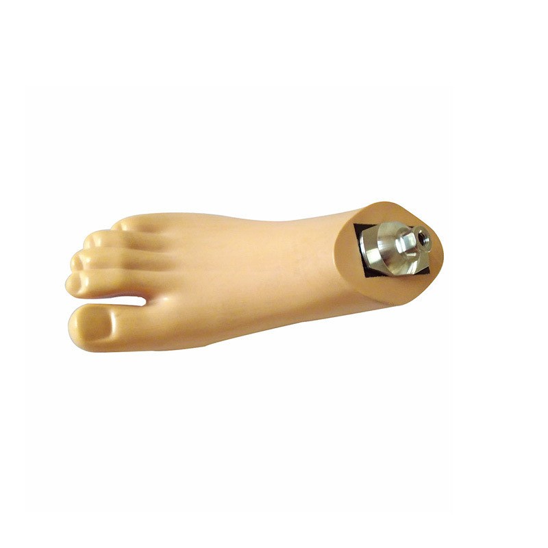 Dynamic foot of orthopedic prosthetic foot implant leg component size 22cm-28cm