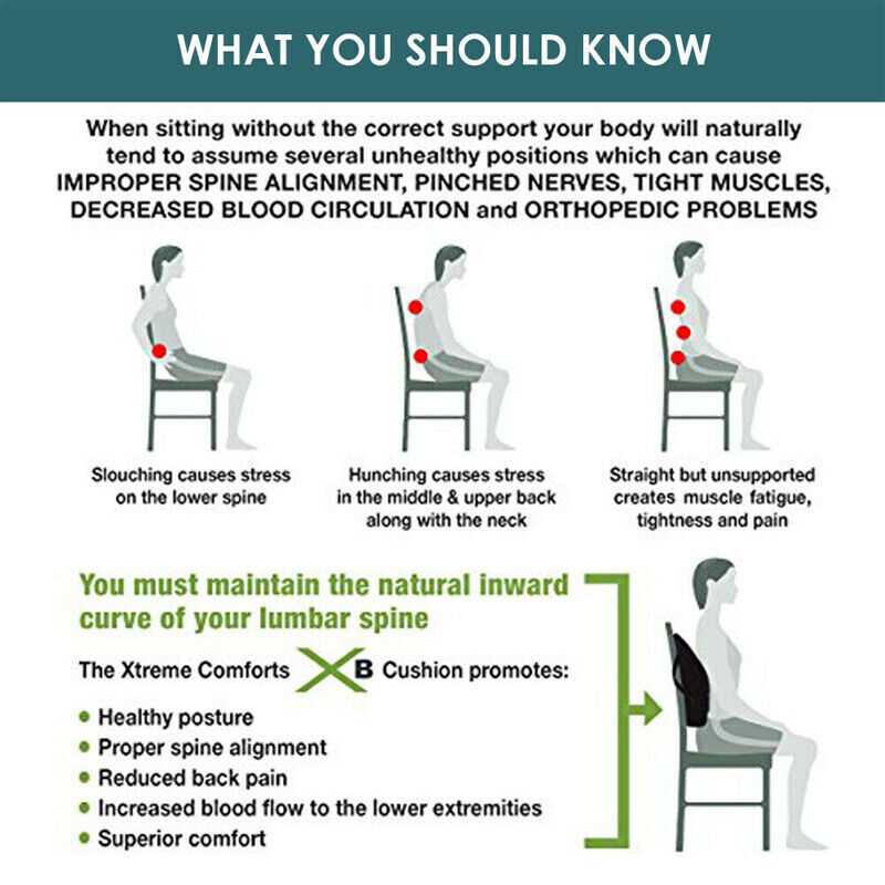 Medical Lumbar Support Lower Waist Back Belt Brace Pain Relief For Men Women opb