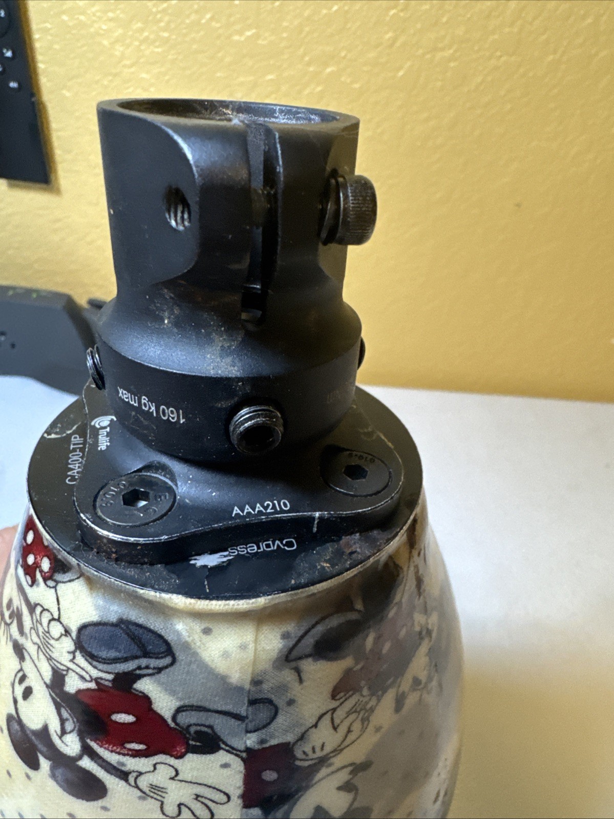 Prosthetic Leg Cypress CA400 – TIP Trulife AAA225 Disney Mickey Minnie