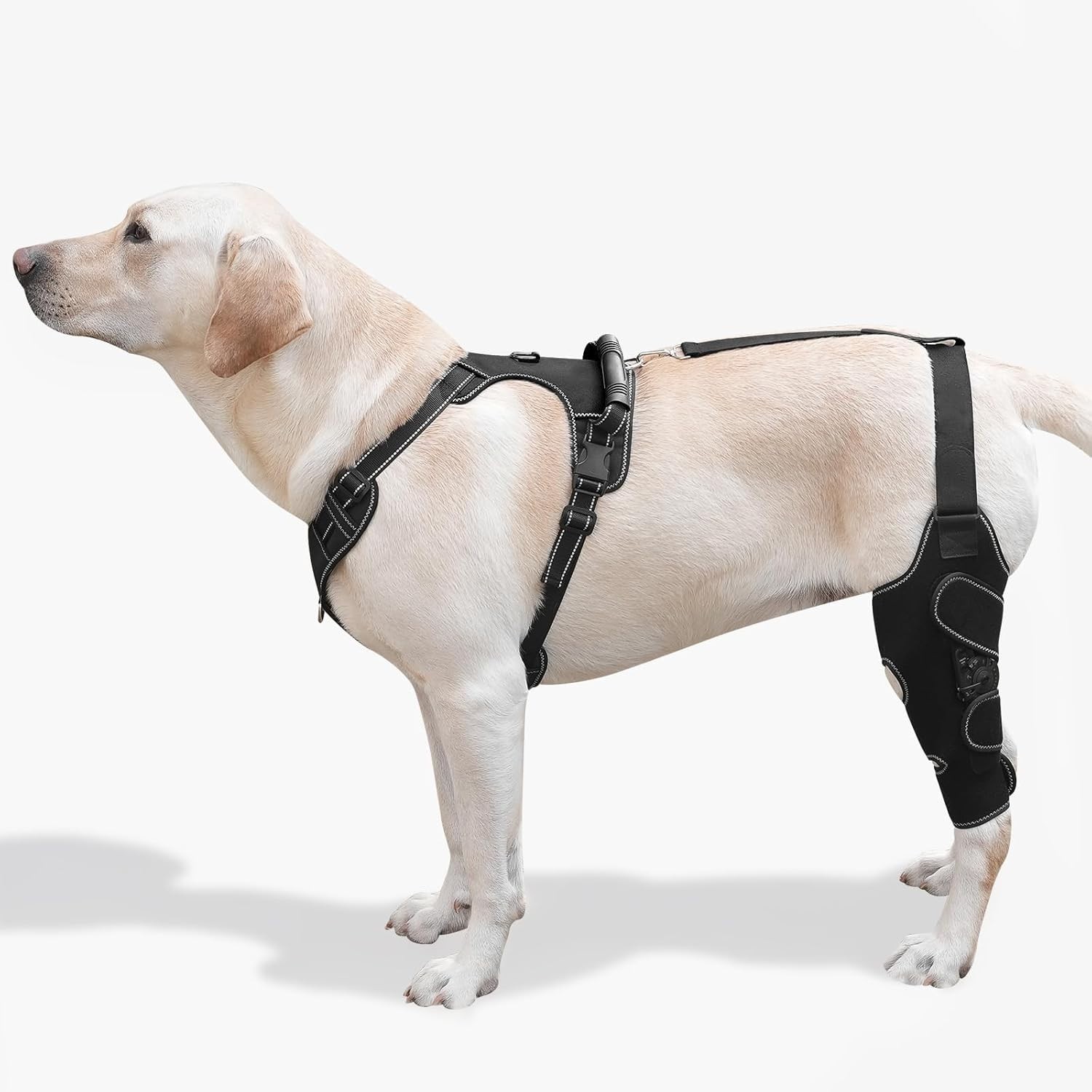 FurWell M Left Dog Knee Brace Rear Leg ACL CCL Support with Chest Harness
