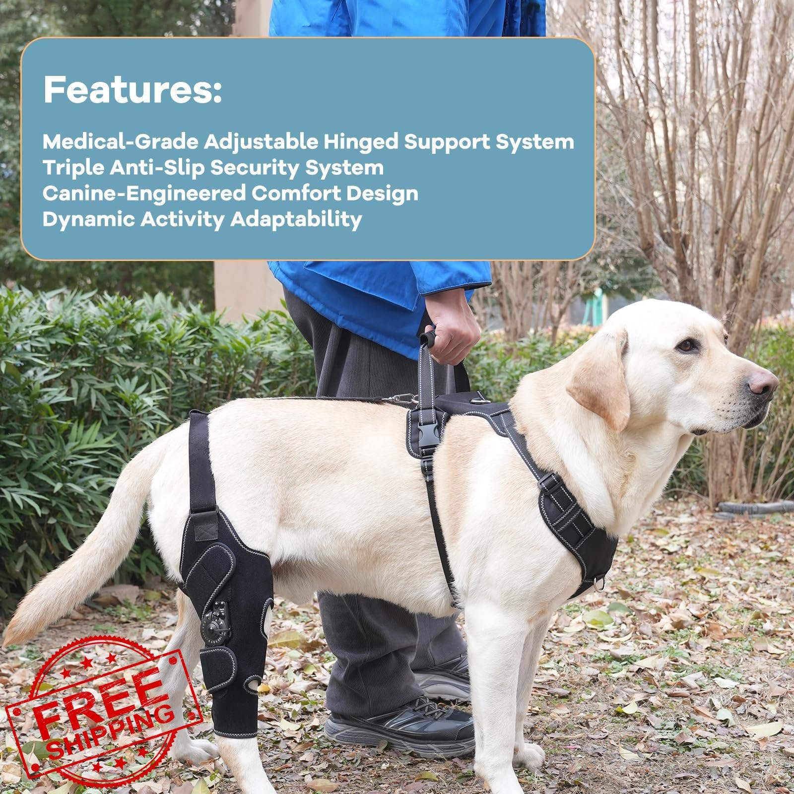 FurWell Dog Knee Brace ACL CCL Rear Leg M Right