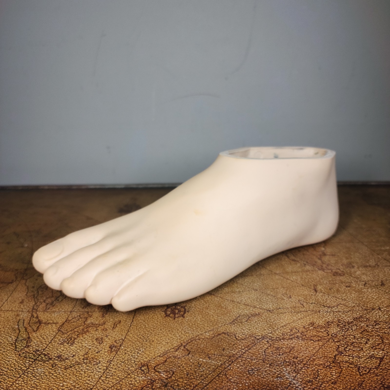 Freedom Innovations Prosthetic Foot Shell 27L