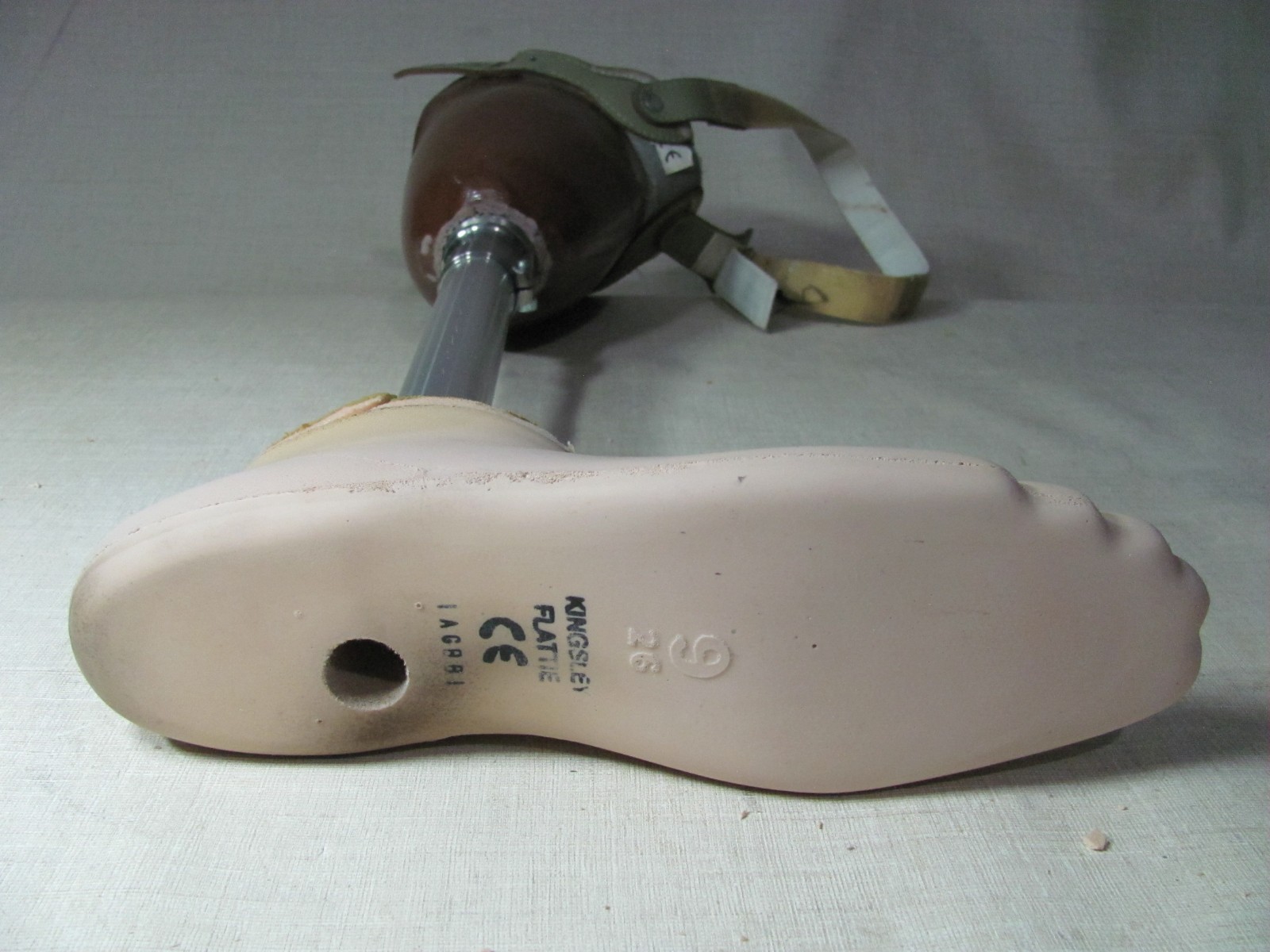 PROSTHETIC LEG LEFT BELOW-KNEE OTTO BOCK TITAN 4R52 HARDWARE KINGSLEY FLATTIE FO