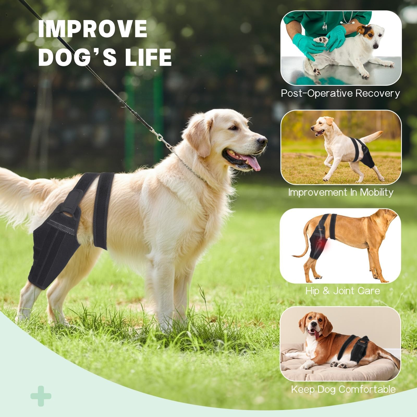Dog Knee Brace for Torn ACL – Adjustable Support for Hind Leg, Pain Relief, Stab