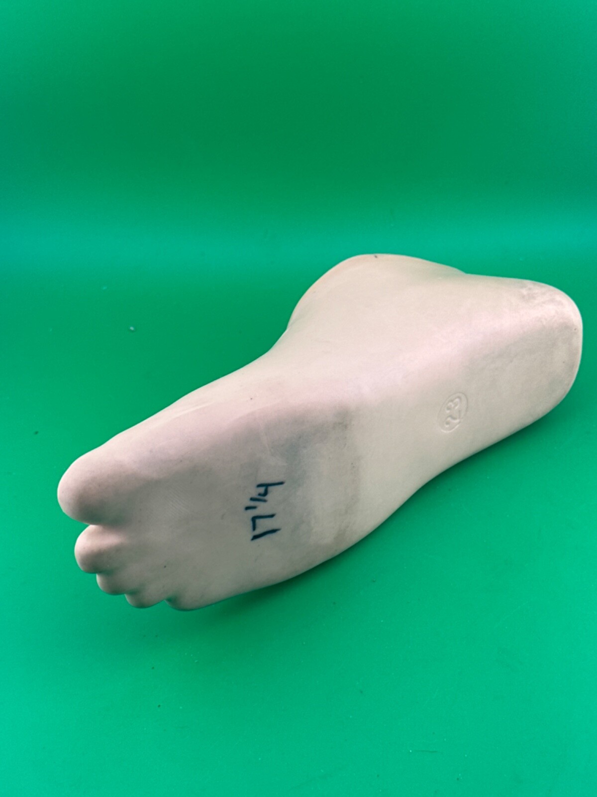 Blatchford endolite prosthetic footshell foot shell. Right shell. Sz 23