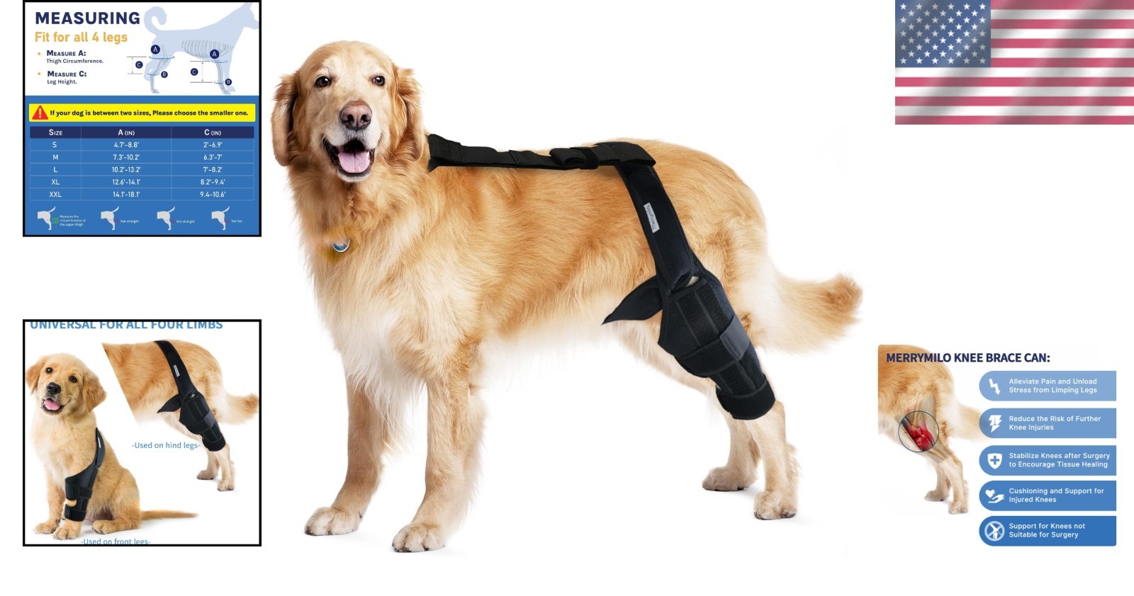 Dog Knee Brace for Torn ACL Hind Leg – Black, Large
